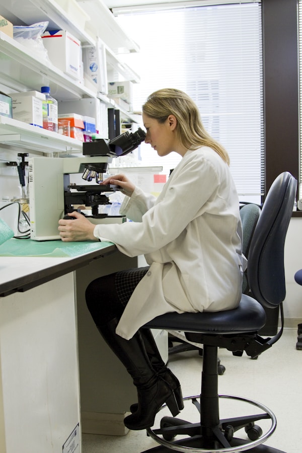 Jasa Pengujian